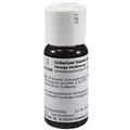 Produktbild: Cichorium Stanno Cultum D 3 Dilution 50 ml