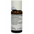 Produktbild: Cichorium Stanno cultum D 3 Dilution 50 ml