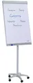 Produktbild: FRANKEN Flipchart Standard Mobil 670 x 950 mm hellgrau