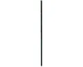 Produktbild: Pflanzenstab Belissa Haas Pflanzstab Timo 150 G Pulver beschichtet, ca. 150 x 3