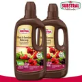 Produktbild: Substral Naturen 2 x 1 l Obst & Gemüse Nahrung Bio