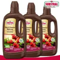 Produktbild: Substral Naturen 3 x 1 l Obst & Gemüse Nahrung Bio