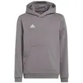 Produktbild: adidas Performance Kapuzenpullover adidas Kinder Kapuzenpullover Entrada 22 Sweat Hoodie grau 152 EU