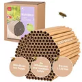 Produktbild: CULT at home 200 Nisthülsen für Wildbienen Insektenhotel Ø 6 mm - Länge 15 cm – Zubehör Füllmaterial Ersatz zum Nachfüllen Bauen und Basteln von Nisthilfen Bienenhotel