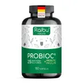 Produktbild: Probiotika Kulturen Komplex, 25 Bakterienstämme + Inulin - 300 Mrd. KBE/g RAIBU