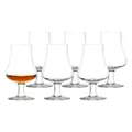 Produktbild: Stölzle Lausitz Whiskygläser Nosing Glass 195 ml 6er Set