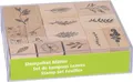 Produktbild: Heyda Stempel HEYDA Stempelset Blätter 15 Stück