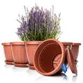 Produktbild: BigDean 6X Blumentopf mit Untersetzer rund ø40xH31 cm Terracotta - wetterfester Pflanzkübel - Wasserablauf UV-beständig aus bruchsicherem Kunststoff - Innen + Außen geeignet - Made in Europe