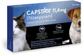 Produktbild: Elanco Deutschland GmbH Capstar 11,4 mg für Katzen und kleine Hunde 6 Tabletten - 6 Tabletten 01276359