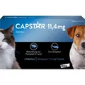 Produktbild: Capstar 11,4 mg Tabletten für Katzen/kleine Hunde 6 St