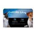 Produktbild: Capstar Tabletten gegen Flöhe für Katzen und kleine Hunde bis 11 kg, 6 Tabletten in einer Packung