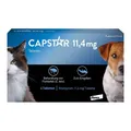 Produktbild: CAPSTAR™ 11,4 mg Tabletten für Katzen und kleine Hunde · 6 St · PZN 01276359