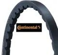 Produktbild: Continental CTAM AVX10X800 Keilriemen