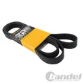 Produktbild: CONTINENTAL KEILRIEMEN AVX10X800 für AUDI 100 200 80 90 COUPE QUATTRO AUSTIN