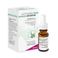 Produktbild: SCHNUPFEN ENDRINE 0,1% Nasentropfen 10 ml