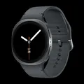 Produktbild: Samsung L330 GALAXY WATCH8 44MM BT GRAPHITE (SM-L330NDAAEUB)