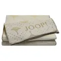 Produktbild: JOOP! Living JOOP! Decke Cornflower Charme 150x200 cm 817501