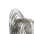 Produktbild: Molybdändraht Mo 99,95% Ø 0,5 mm x 2 Meter Draht Elektrode Molybdän 200 cm AWG 24 - Polymet - Reine Metalle.®