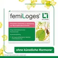 Produktbild: FEMILOGES magensaftresistente Tabletten PZN: 16815885