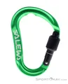 Produktbild: Salewa Ortles M HMS-Karabiner-Grün-One Size