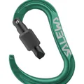 Produktbild: Salewa Ortles HMS M Carabiner irish green (5210) UNI