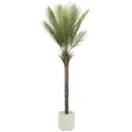 Produktbild: Kunstpflanze Künstliche Pflanze für Wohnräume & Garten dekorative Zimmerpflanze, ML-DESIGN, Höhe 180 cm, Kunstpalme für Innen & Außen mit Echtem Moos braun|grün 180 cm