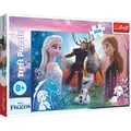 Produktbild: Trefl Pz.Disney Frozen 300T (300 Teile) (TREFL 23006)