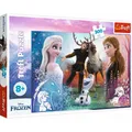 Produktbild: Pz.Disney Frozen 300T