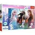Produktbild: TREFL PUZZLE 300 Magische Zeit / Disney Frozen2 23006