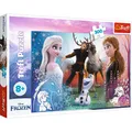 Produktbild: 5900511230062 Puzzle 300 elementów Frozen 2 TREFL 23006 TR TREFL