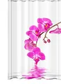 Produktbild: Ekershop Textil Duschvorhang Badvorhang Wannenvorhang DIGITAL ORCHIDEEN 120x200cm inkl. Ringe