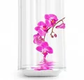 Produktbild: Ekershop Duschvorhang Textil Digitaldruck ORCHIDEEN für Duschstange Breite 120 cm (inkl. Ringe), Höhe 200 cm, wasserabweisend, waschbar, bügelbar