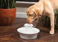 Produktbild: PetSafe Trinkbrunnen Avalon   Hund Katze Trinknapf