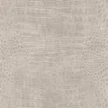Produktbild: Rasch Vliestapete African Queen III Krokodil Hellgrau 10,05 x 0,53 m