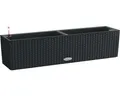 Produktbild: Balkonkasten Lechuza Balconera Cottage Kunststoff 80,5 x 20,2 x 21,5 cm graphits