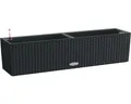 Produktbild: Blumenkasten Lechuza Balconera Cottage 80 schwarz inkl. Erdbewässerungssystem