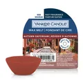 Produktbild: YANKEE CANDLE Wax Melt AUTUMN DAYDREAM 22 g Duftwachs