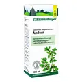 Produktbild: ANDORN Saft Schoenenberger 200 ml