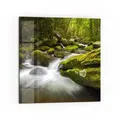 Produktbild: DEQORI Küchenrückwand 'Sattgrüne Waldkulisse', Glas Spritzschutz Badrückwand Herdblende grün 60 cm x 60 cm
