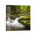 Produktbild: DEQORI Küchenrückwand Glas | Motiv Sattgrüne Waldkulisse | 60x60 cm | Bad- oder Herd-Rückwand | Herdblende Spritzschutz für Küche & Badezimmer | moderne Deko für Fliesenspiegel