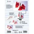 Produktbild: Olympia Laminierfolien (A4, 25 Stück, 125 µm) (9185)