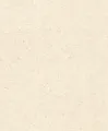 Produktbild: Rasch Tapeten Vliestapete (universell) Beige 10,05 m x 0,53 m Concrete 520835