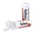 Produktbild: Xylitol Chewing Gum, Zimt 30 St