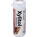 Produktbild: miradent Xylitol Kaugummi 30 Stück Zimt