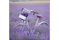 Produktbild: Ambiente Luxury Paper Products Papierserviette, Servietten Papier 33x33cm 3-lag mit Lavendel & Fahrrad Motiv 20 Stück