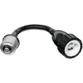 Produktbild: ledscom.de E27 Schwanenhals-Verlängerung ELEKTRA auf GU10, schwarz