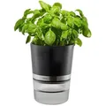 Produktbild: Gefu Kräutertopf, Schwarz, Edelstahl, Transparent, Metall, Kunststoff, 18.5 cm, Loch, Dekoration, Blumen & Zubehör, Übertöpfe
