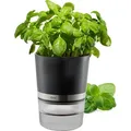 Produktbild: Kräutertopf BOTANICO