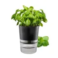 Produktbild: GEFU BOTANICO KRÄutertopf mit Selbstbewässerungssystem - Blumentopf für KRÄuter mit 500ml Wasserreservoir & Wasserstandsanzeige - Automatische Bewässerung für töpfe bis 13cm