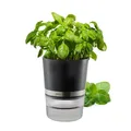 Produktbild: Kräutertopf BOTANICO Kräuter Blumen Topf Selbstbewässerung Küche Blumentopf